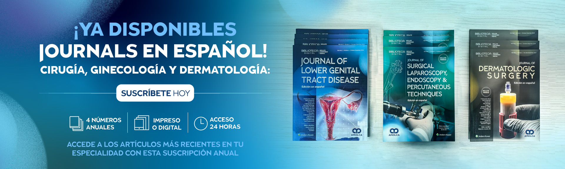 Lanzamiento Journals