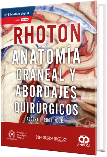 Anatomía Craneal y Abordajes Quirúrgicos